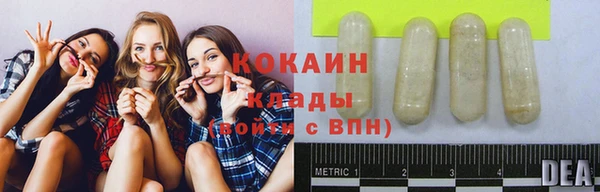 круглые Аркадак