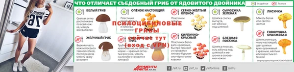 стаф Сосновый Бор