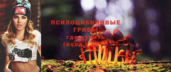 2c-b Арсеньев